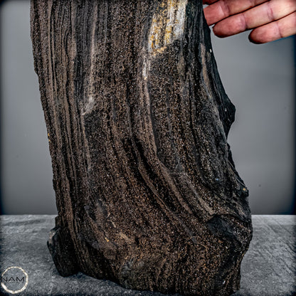 Feenholz – Ein außergewöhnliches Naturkunstwerk  – 7174,96g