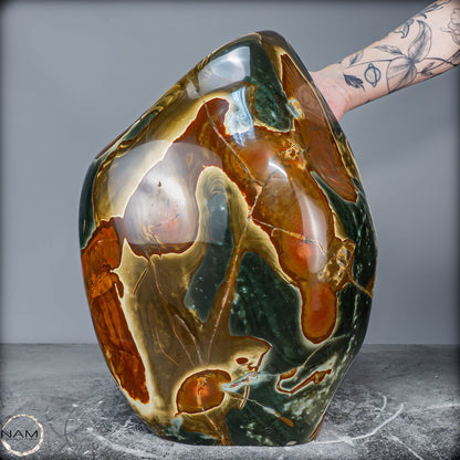 Natürliche Polychrome Jaspis Kristall-Freiform XXL -26101,22g