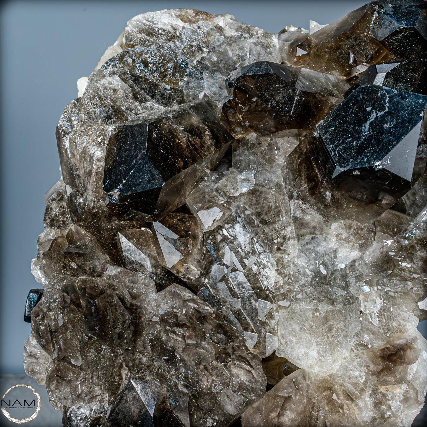 Große Natürliche Rauchquarz-Kristalle auf Ständer - 4719,38 g