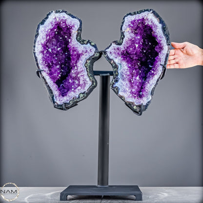 Natürliche Amethyst Drusen Flügel auf Ständer - 24320,31g