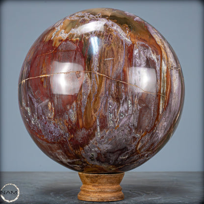 Natürliche Kristall-Kugel aus Versteinertem Holz  - 5089,72g - 170mm