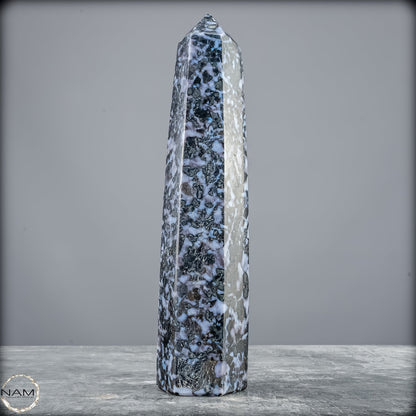 Natürlicher Merlinit (Gabbro) Kristall Obelisk - 821,77g
