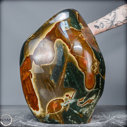 Natürliche Polychrome Jaspis Kristall-Freiform XXL -26101,22g