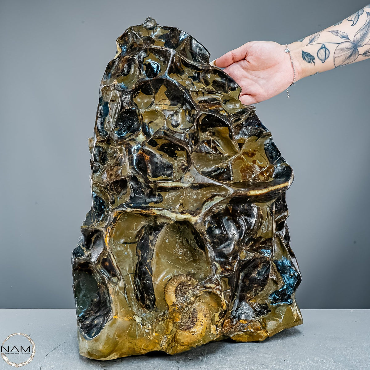 Septarien-Skulptur mit Ammonit aus Russland – 22569,66g