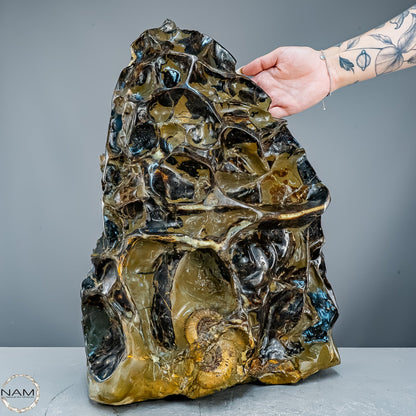 Septarien-Skulptur mit Ammonit aus Russland – 22569,66g