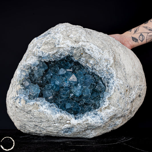 Natürliche Celestit-Kristall Druse, Madagaskar - 41225,15g