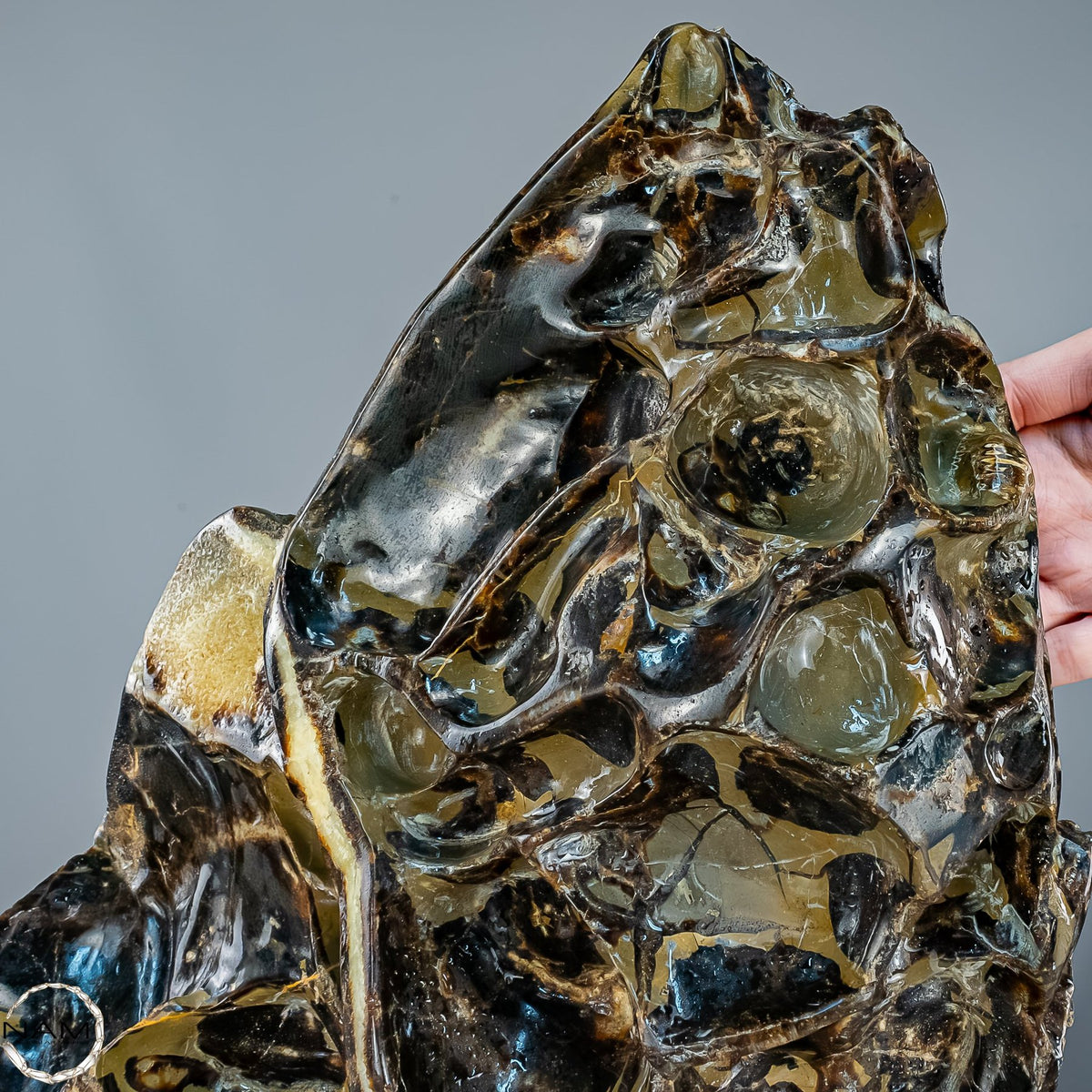 Septarien-Skulptur mit Ammonit aus Russland – 22569,66g