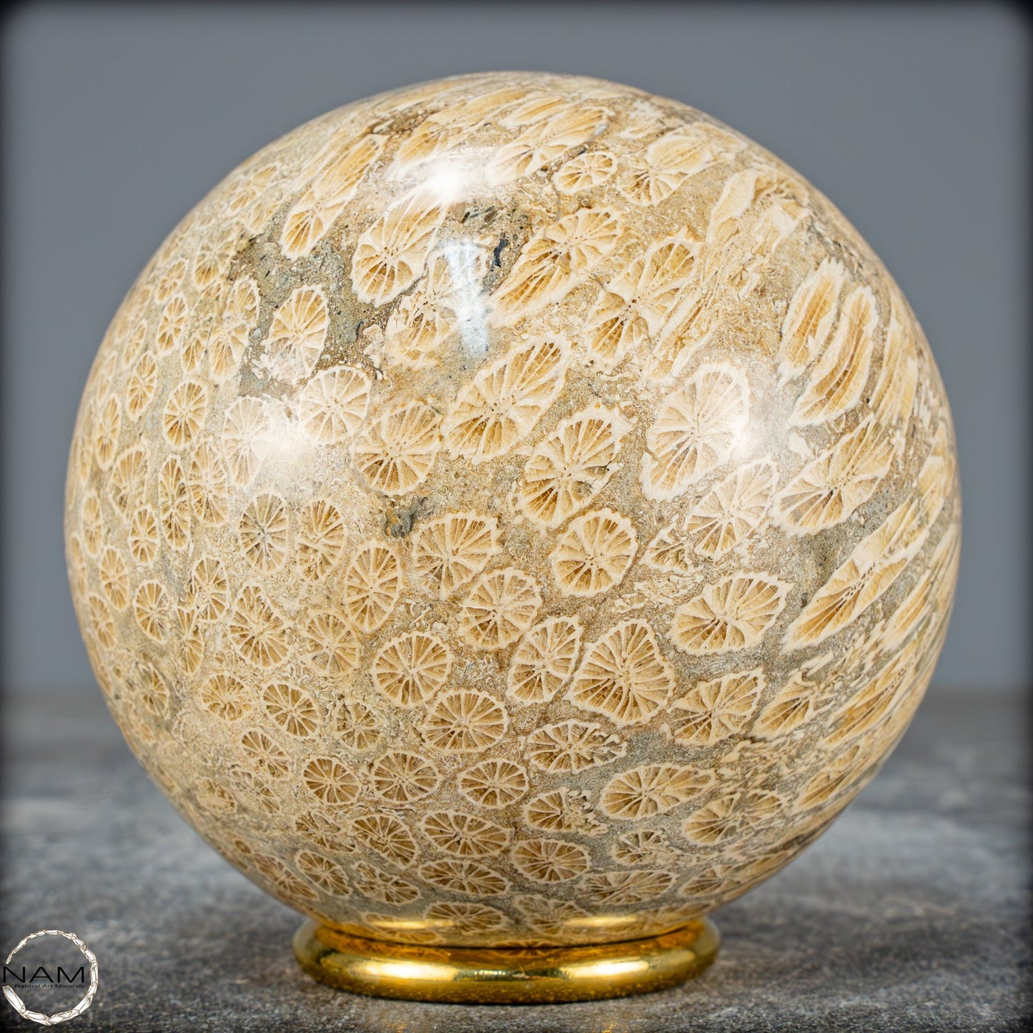 Natürliche Fossile Koralle als Kugel - 860,95g