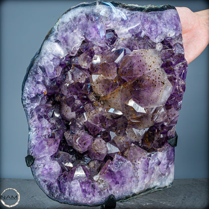 Natürliche Amethyst-Kristalle/Druse auf Ständer - 8280,11g