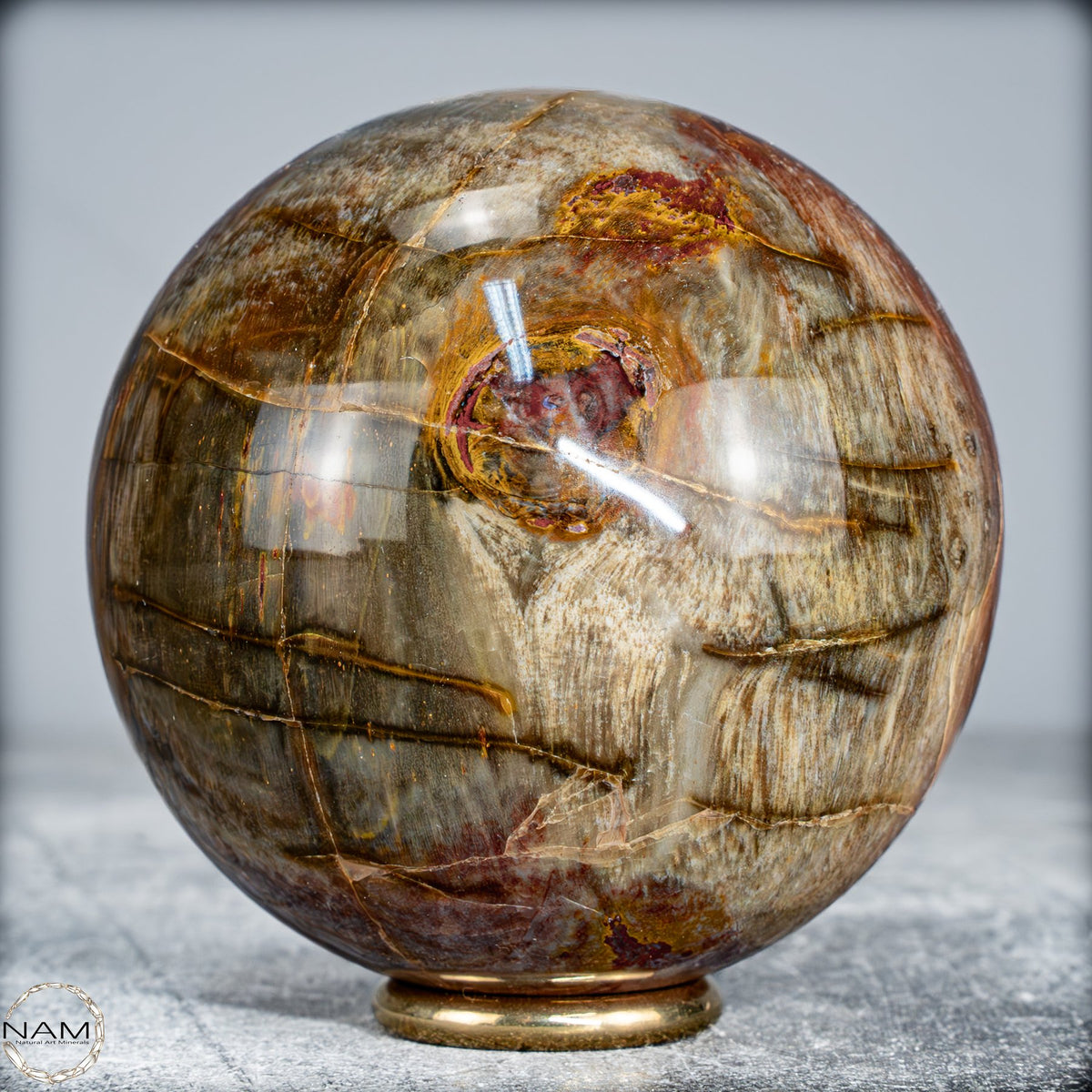 Natürliche Kristall-Kugel aus Versteinertem Holz  -519,34g