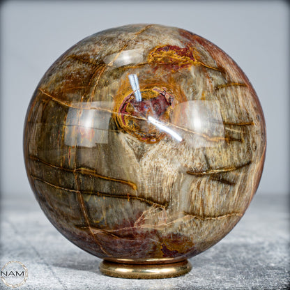 Natürliche Kristall-Kugel aus Versteinertem Holz  -519,34g