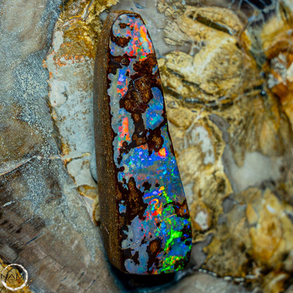 Natürlicher AAA+ Boulder Opal aus Australien Edelsteinqualität - 14,846g