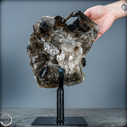 Große Natürliche Rauchquarz-Kristalle auf Ständer - 4719,38 g