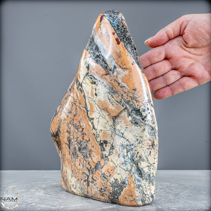 Natürliche Indonesische Picture Jasper-Kristall Freiform – 4627,17g