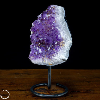 Natürliche Amethyst-Kristalle/Druse auf Ständer - 5093,15g