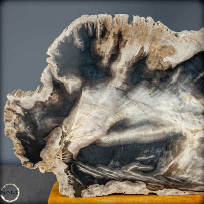 Natürliche Versteinerte Holz Kristall-Scheibe aus Arizona - 16728,48g