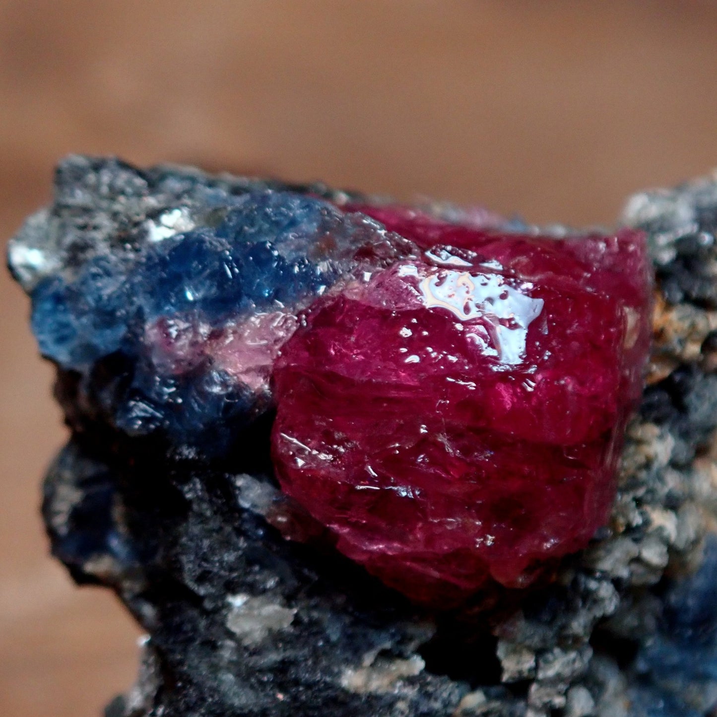 Roter Rubin & Kyanitkristalle auf Matrix aus Winza, Tansania, 204.45 ct