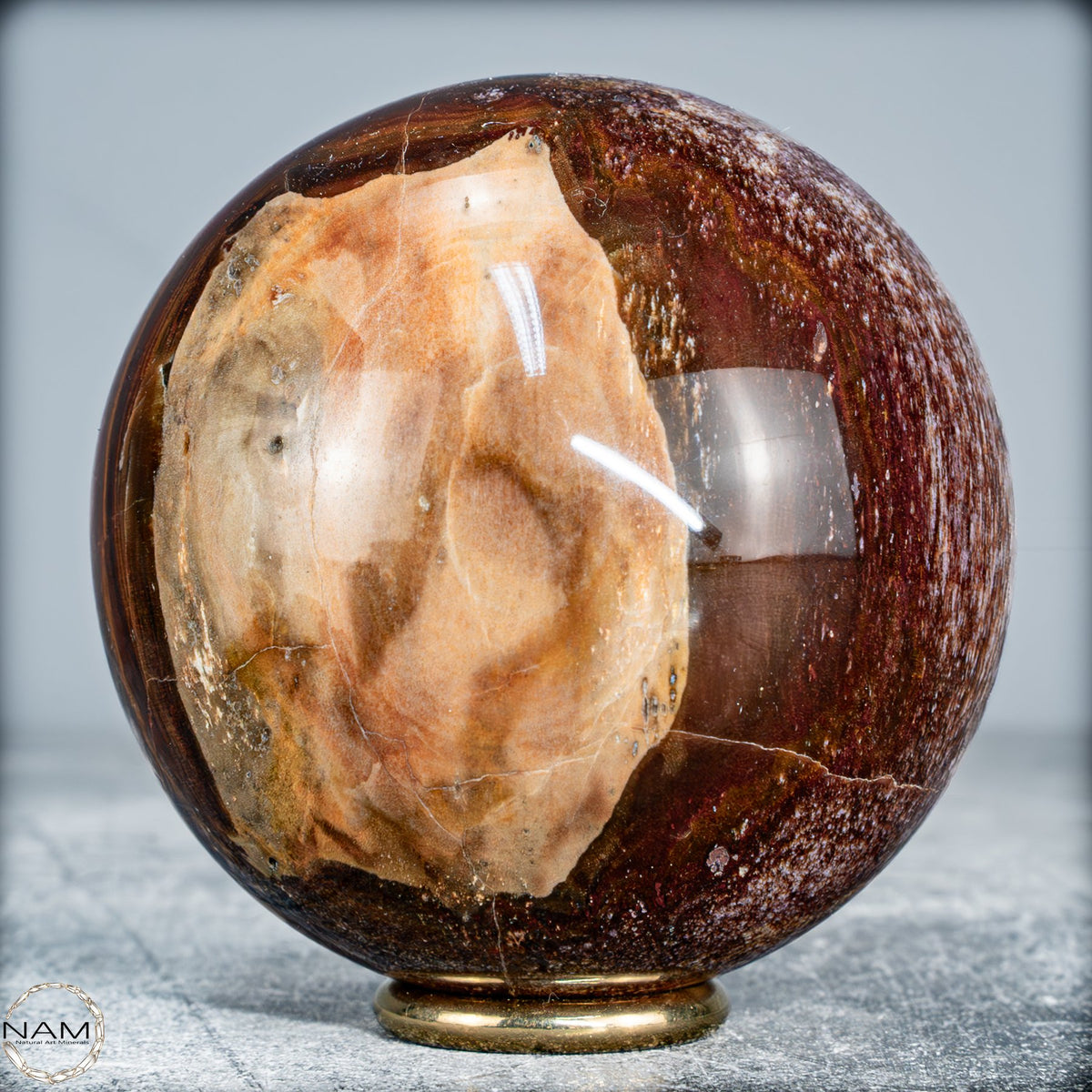Natürliche Kristall-Kugel aus Versteinertem Holz  -519,34g
