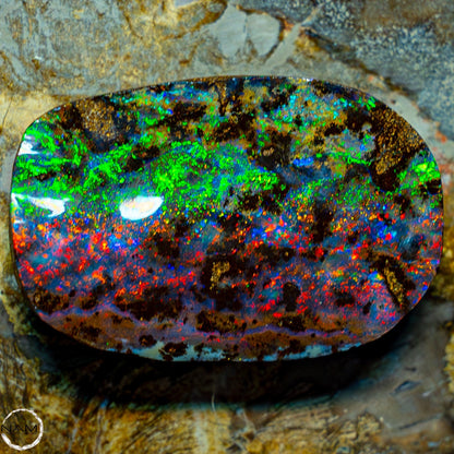 Natürlicher AAA+ Boulder Opal aus Australien Edelsteinqualität - 68,92ct