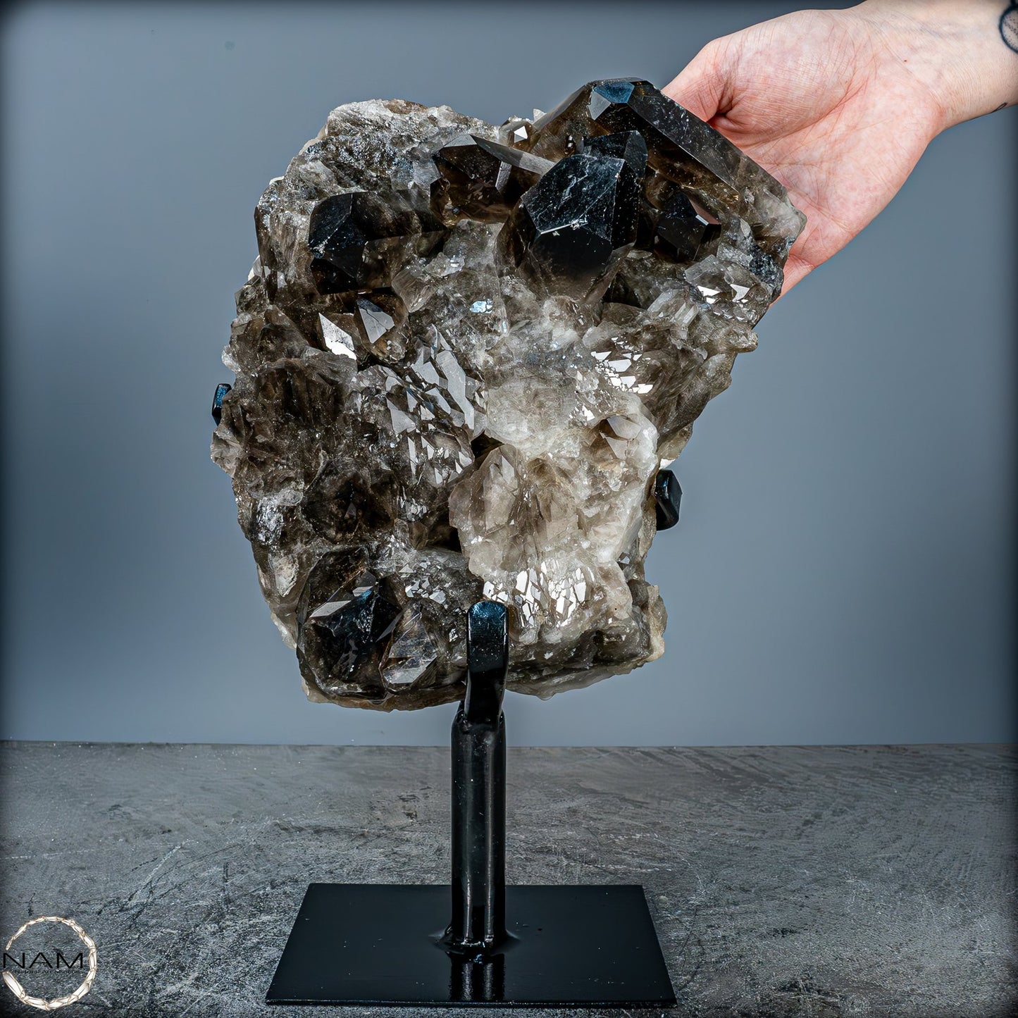 Große Natürliche Rauchquarz-Kristalle auf Ständer - 4719,38 g