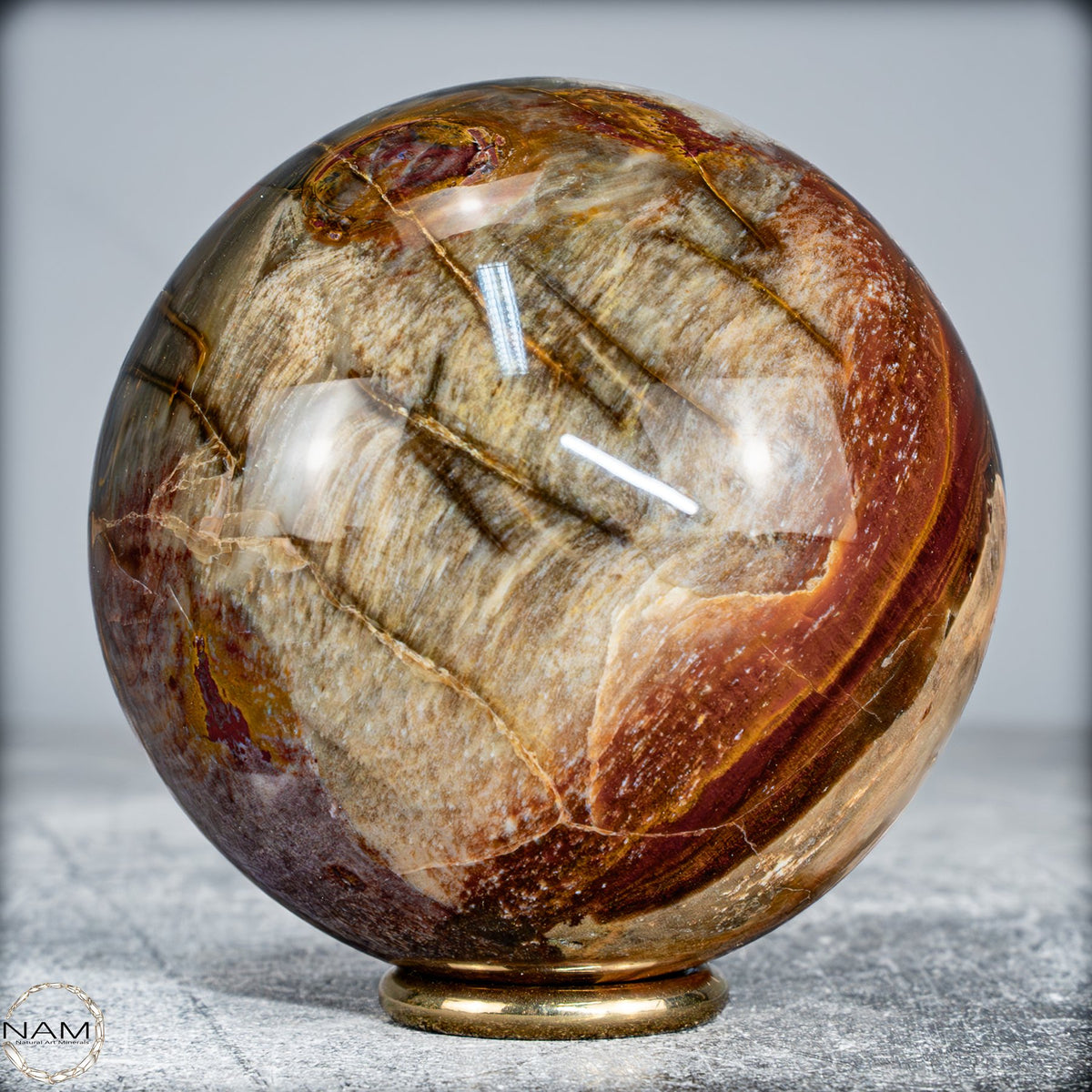 Natürliche Kristall-Kugel aus Versteinertem Holz  -519,34g