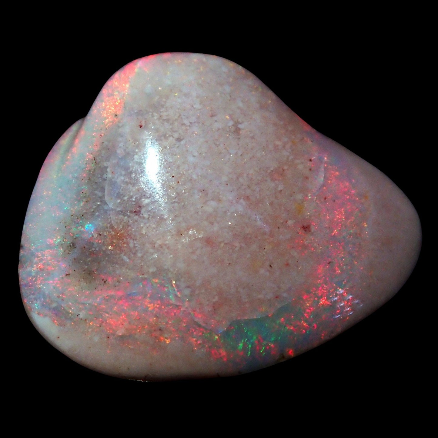 AAA+ Opalesierte Muschel aus Australien, 5,650ct