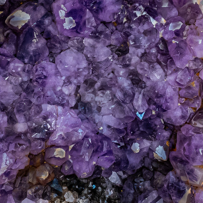 Riesen Kaktus-Amethyst aus Südafrika - 11765,71g