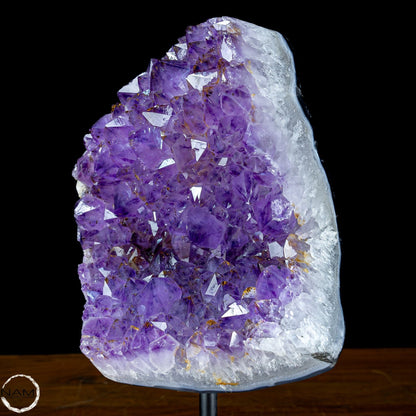 Natürliche Amethyst-Kristalle/Druse auf Ständer - 5093,15g