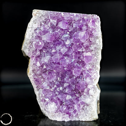 Natürliche Amethyst-Kristall Druse - 744,51g