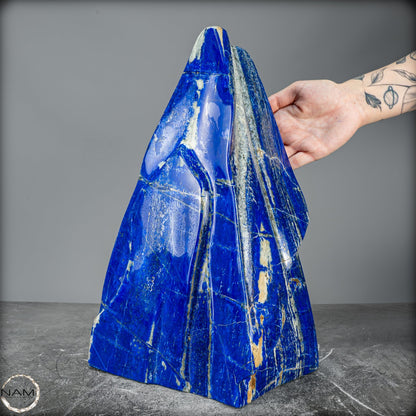 Natürliche Lapislazuli Kristall-Freiform -15530,77g