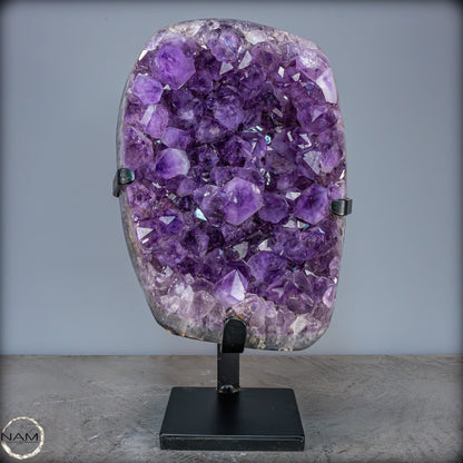 Natürliche Amethyst-Kristalle/Druse auf Ständer - 12881,84g