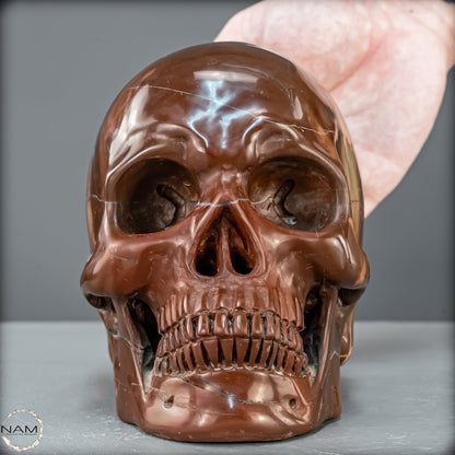 Imposanter Schädel aus rotem Achat - 2272,53g