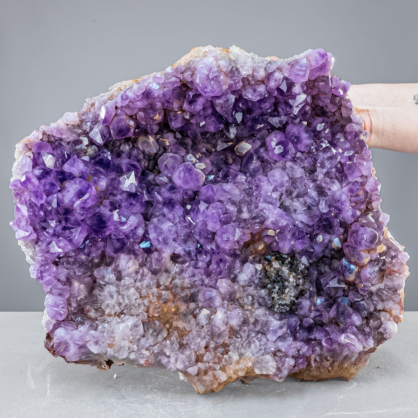 Riesen Kaktus-Amethyst aus Südafrika - 11765,71g