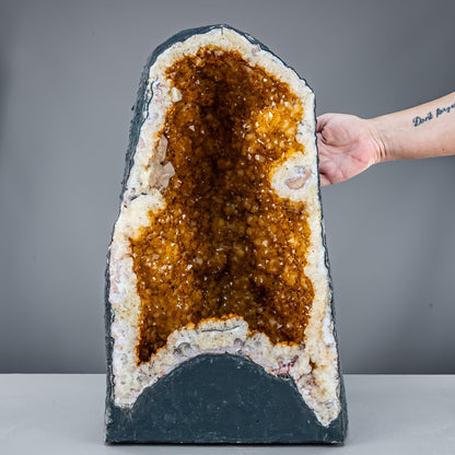Große  Citrin-Quarz Druse, Brasilien - 38384,99g