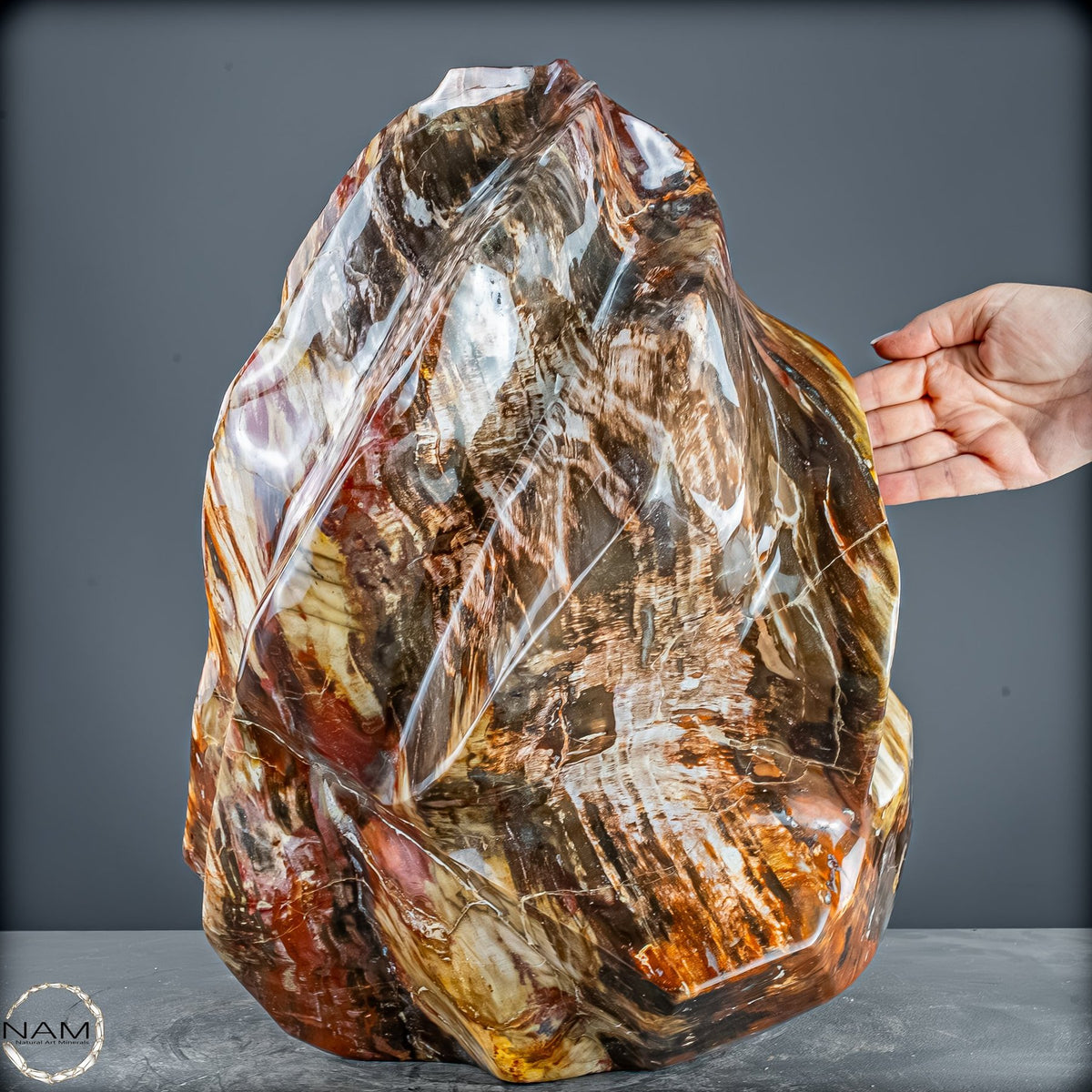 Natürliche Kristall-Flamme aus Versteinertem Holz  - 57231,11g