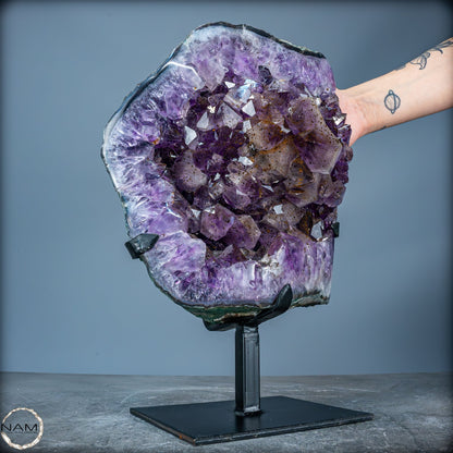 Natürliche Amethyst-Kristalle/Druse auf Ständer - 8280,11g