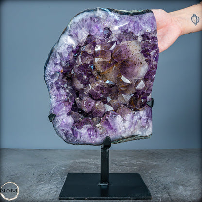 Natürliche Amethyst-Kristalle/Druse auf Ständer - 8280,11g