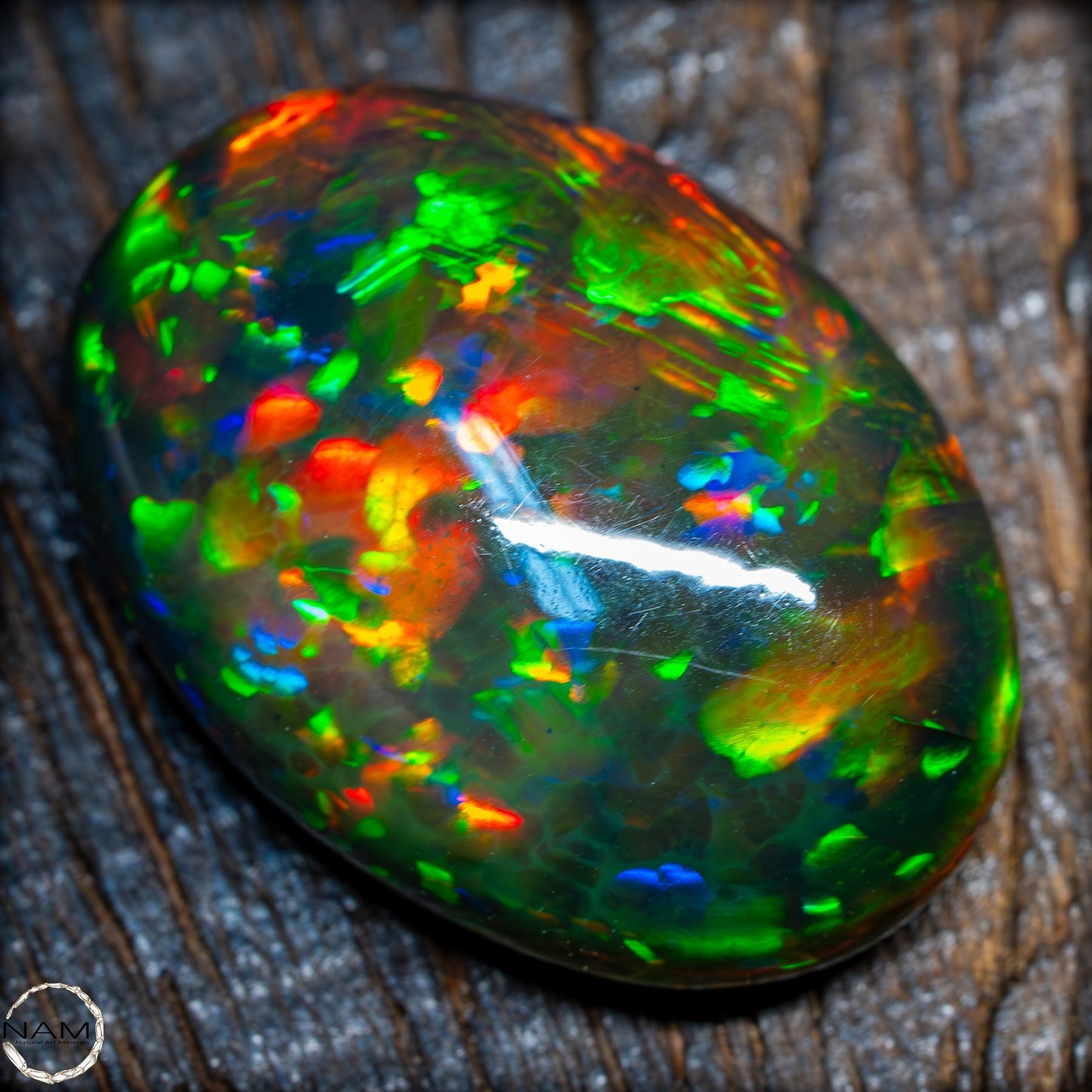 Großer AAA+ Schwarzer Opal Cabochon - 24.3 ct - 4.86 g