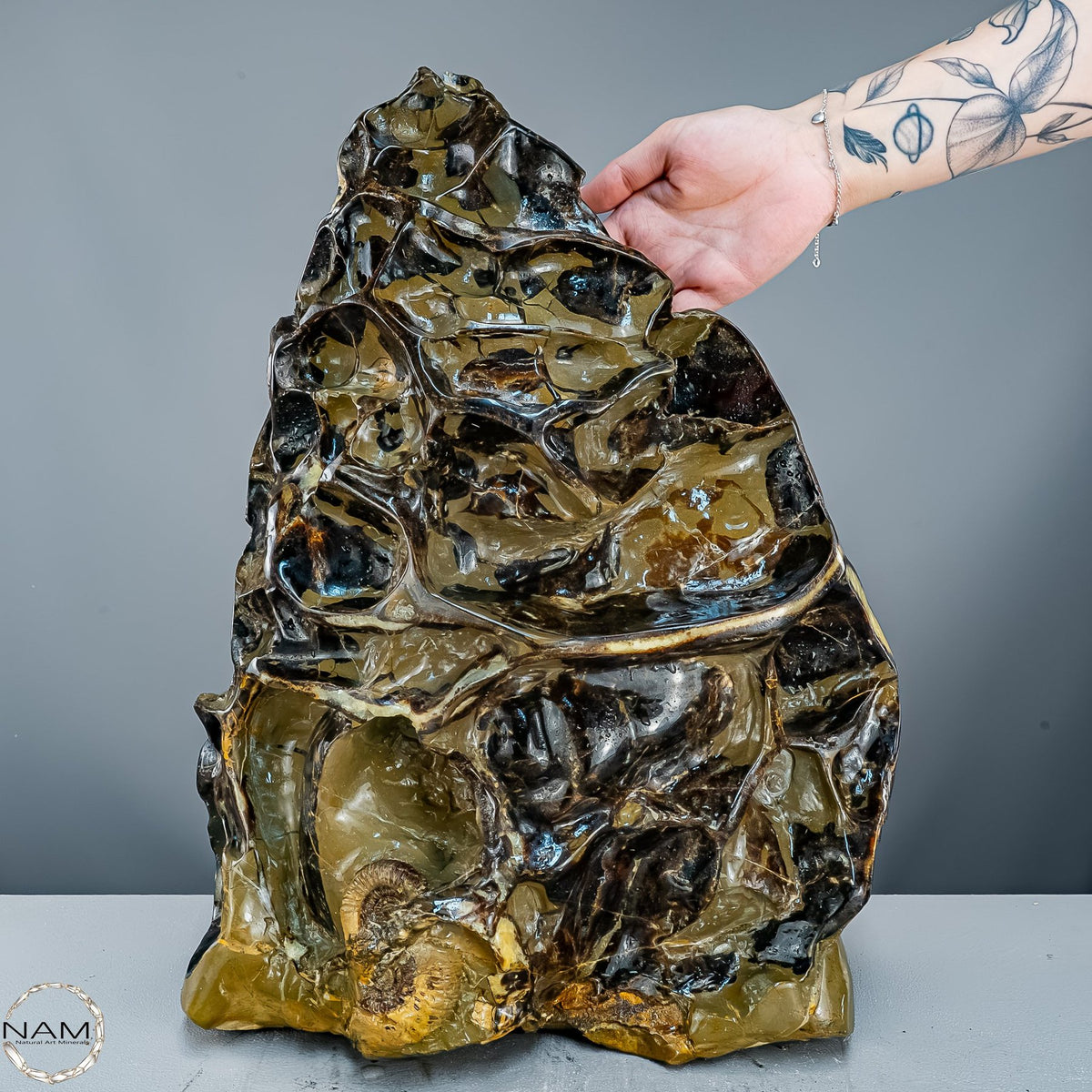 Septarien-Skulptur mit Ammonit aus Russland – 22569,66g
