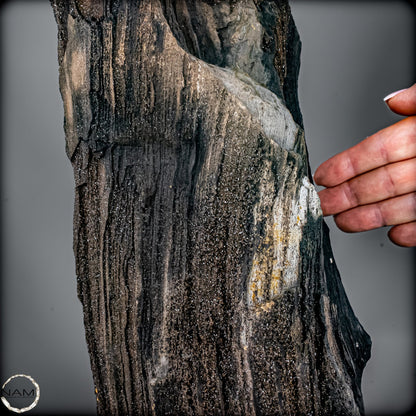 Feenholz – Ein außergewöhnliches Naturkunstwerk  – 7174,96g