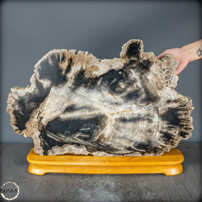 Natürliche Versteinerte Holz Kristall-Scheibe aus Arizona - 16728,48g