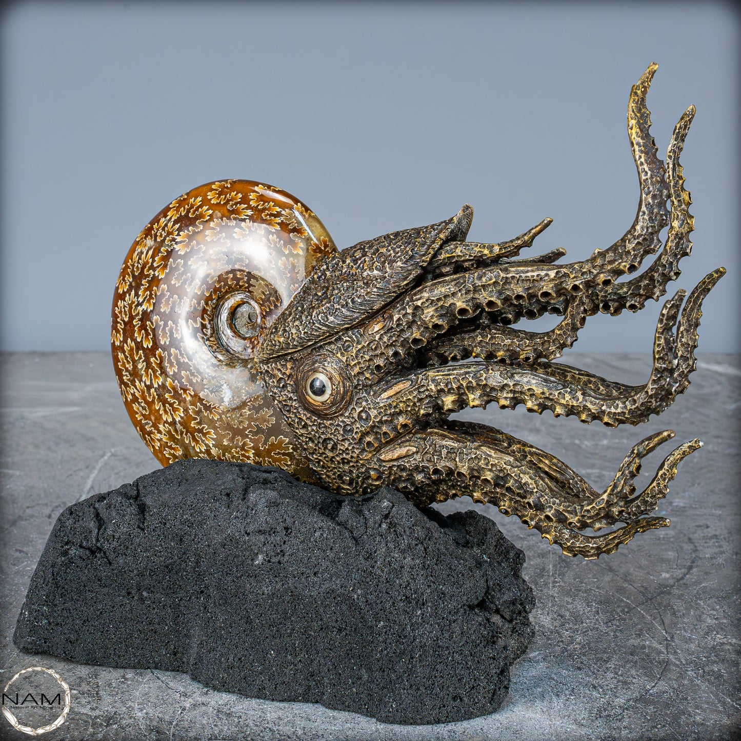 Natürlicher Ammonite verbunden mit Meisterhafter Kunst - 1079,22g