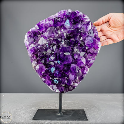 Amethyst Druse auf elegantem Metallständer - 6100,24g