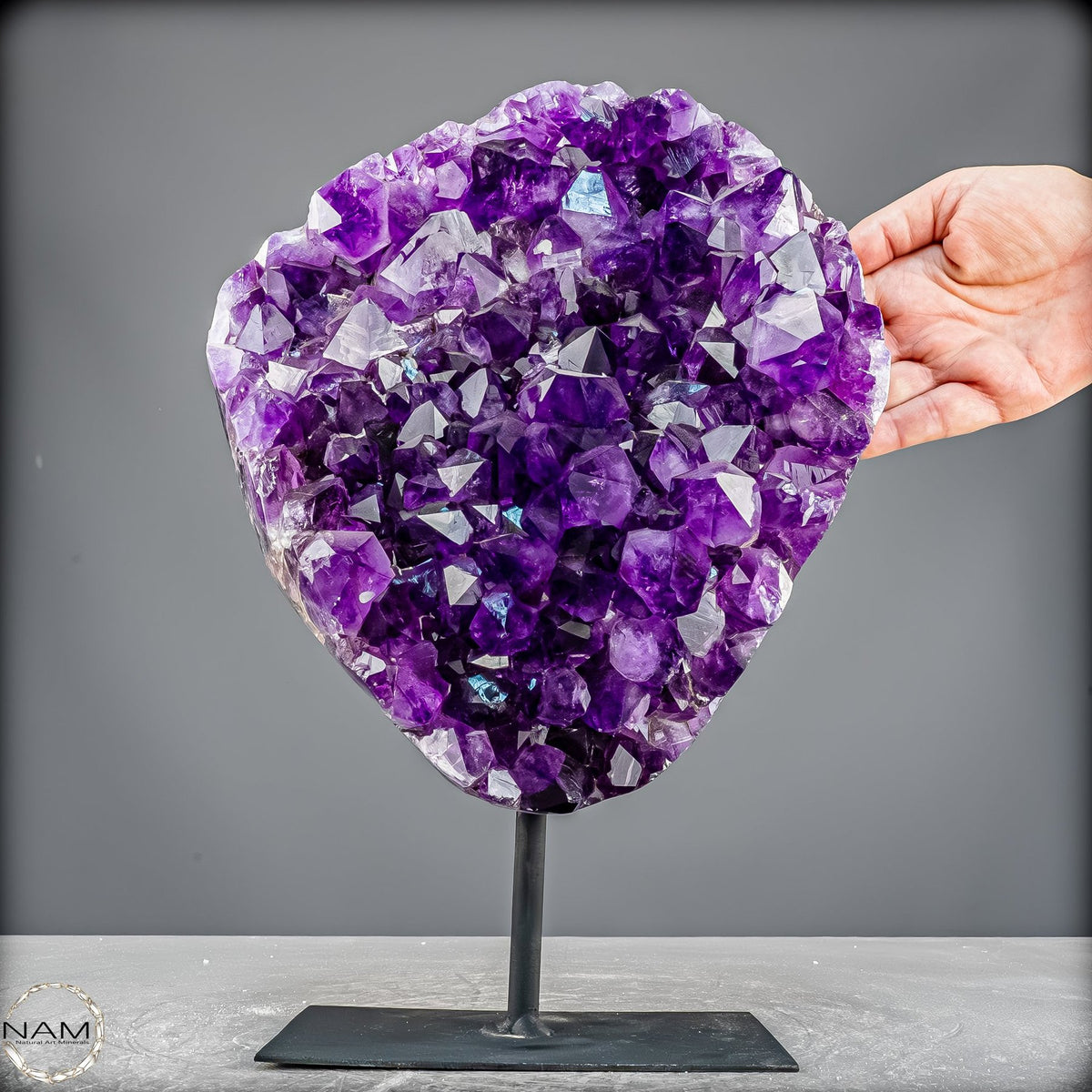 Amethyst Druse auf elegantem Metallständer - 6100,24g