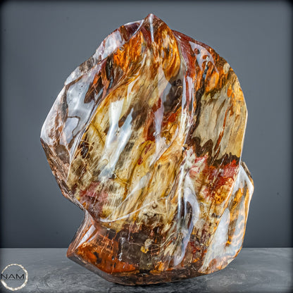 Natürliche Kristall-Flamme aus Versteinertem Holz  - 57231,11g
