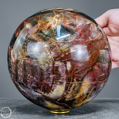 Natürliche Kristall-Kugel aus Versteinertem Holz  - 3624,55g