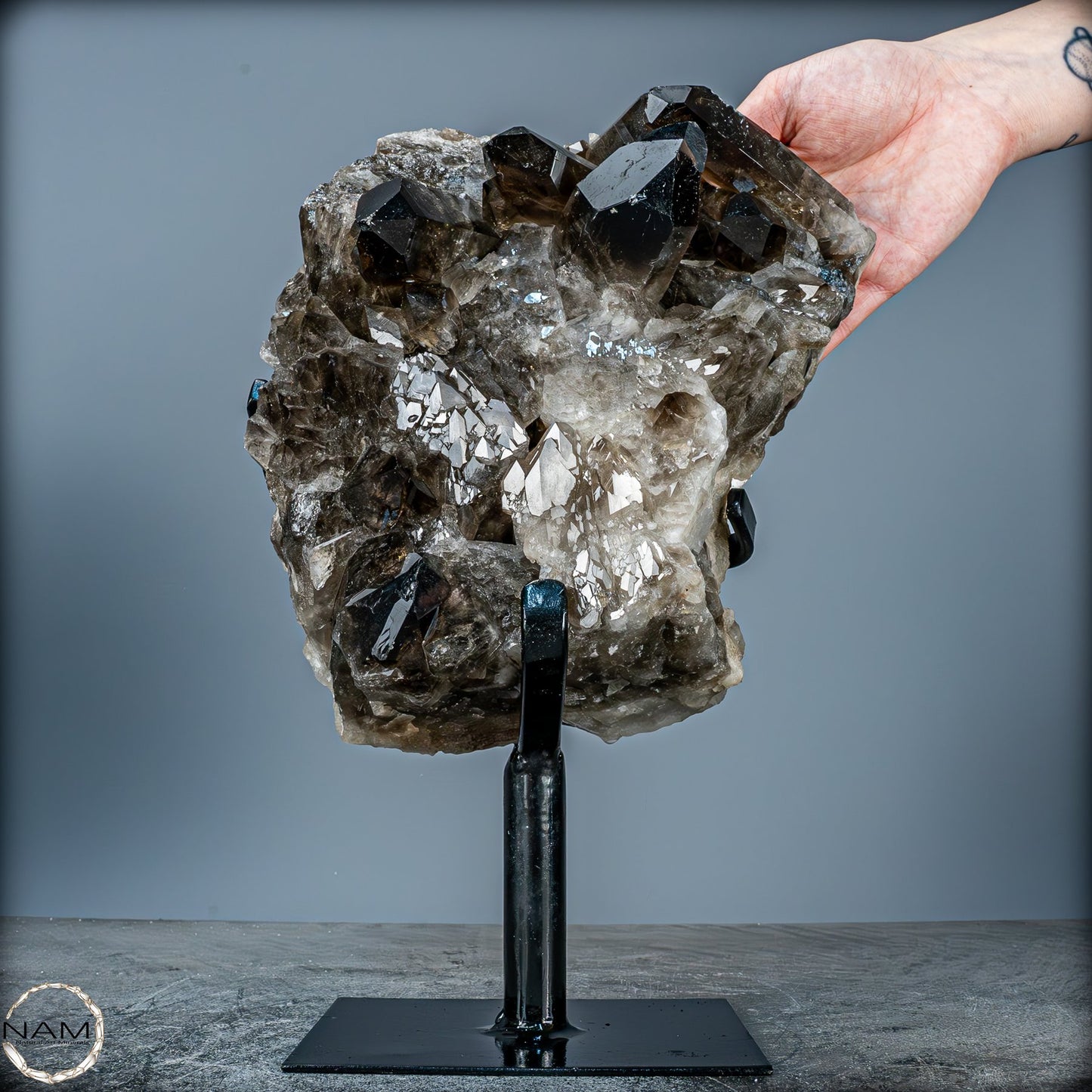 Große Natürliche Rauchquarz-Kristalle auf Ständer - 4719,38 g