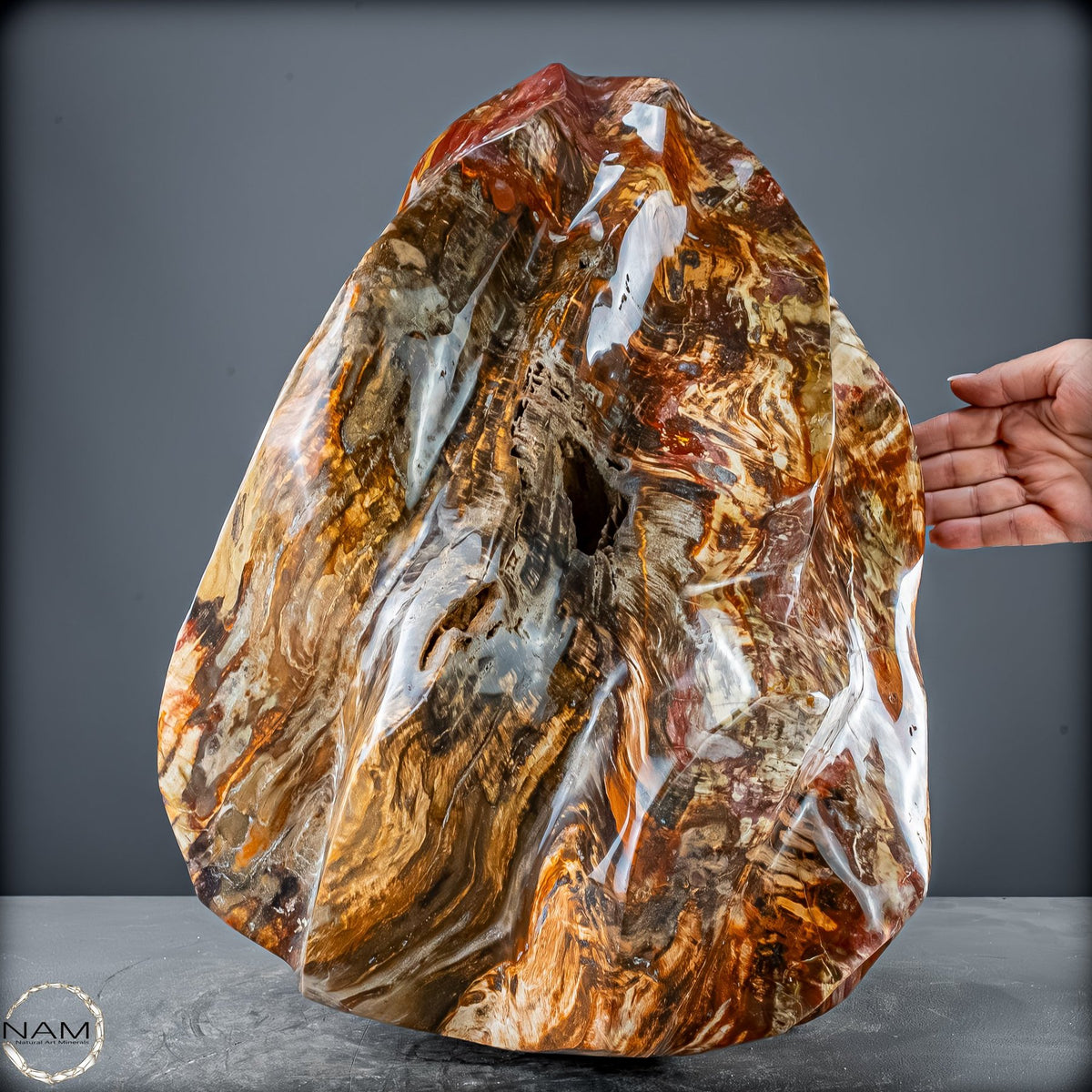 Natürliche Kristall-Flamme aus Versteinertem Holz  - 57231,11g