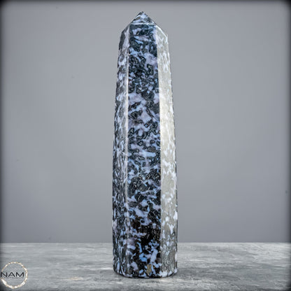 Natürlicher Merlinit (Gabbro) Kristall Obelisk - 821,77g