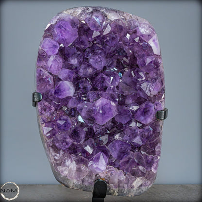 Natürliche Amethyst-Kristalle/Druse auf Ständer - 12881,84g